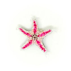 BROCHE ESTRELLA DE MAR AMATISTA