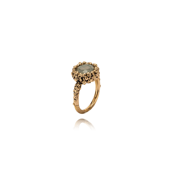 Anillo MOLECOLA Bronce chocolate - Labradorita
