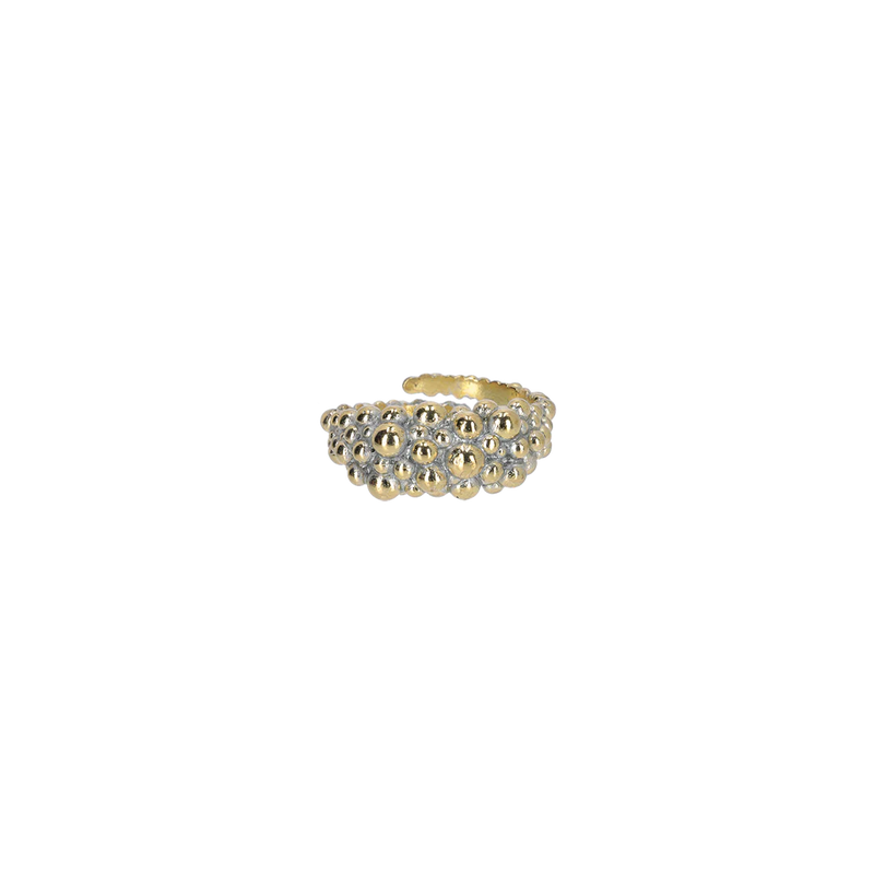 Anillo NOTA Latón dorado plateado