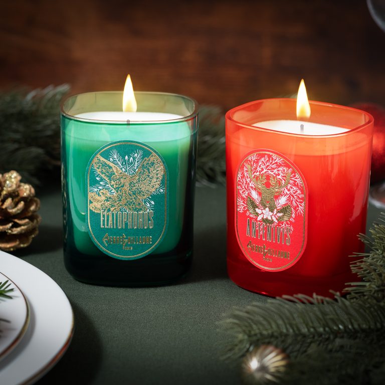 ANTENIVIS - VELA PERFUMADA NAVIDAD