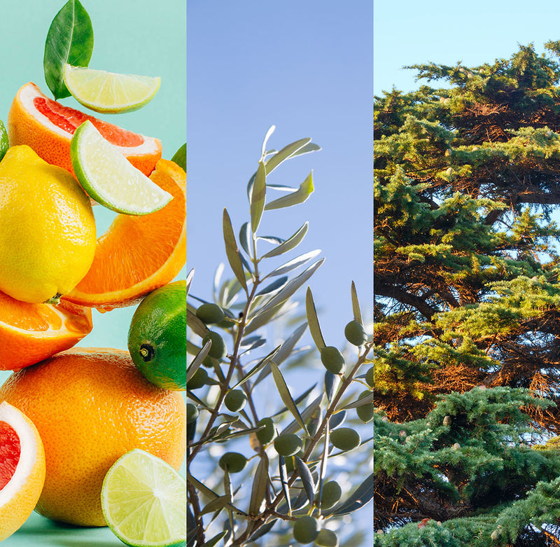 EN MAINS PROPRES – JABÓN DE MANOS