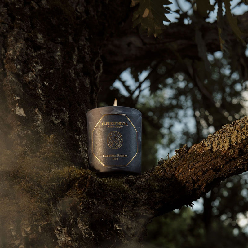 VELA FLORES DE INVIERNO