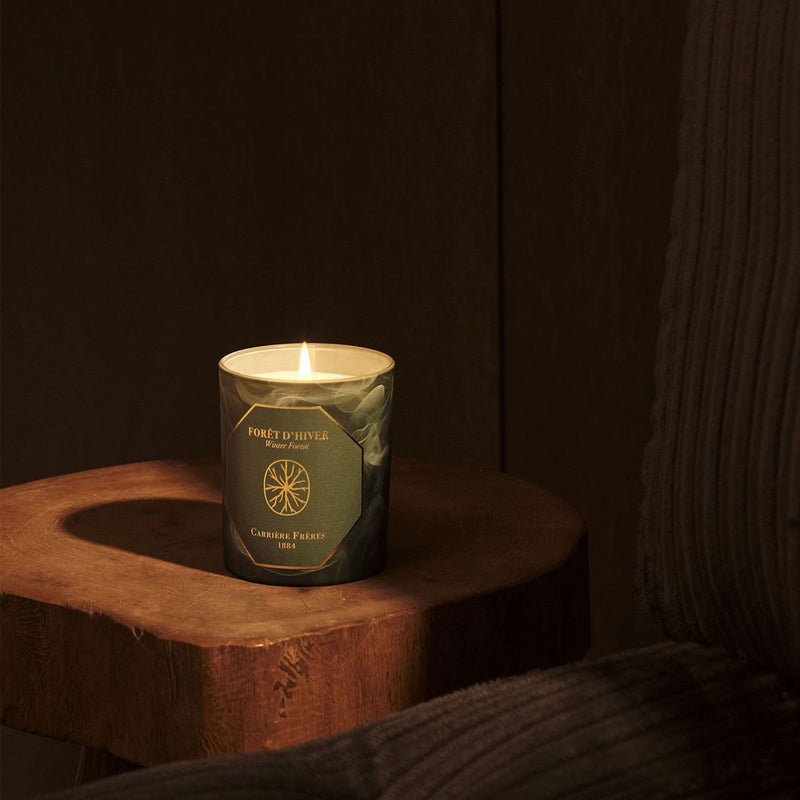 VELA BOSQUE INVIERNAL